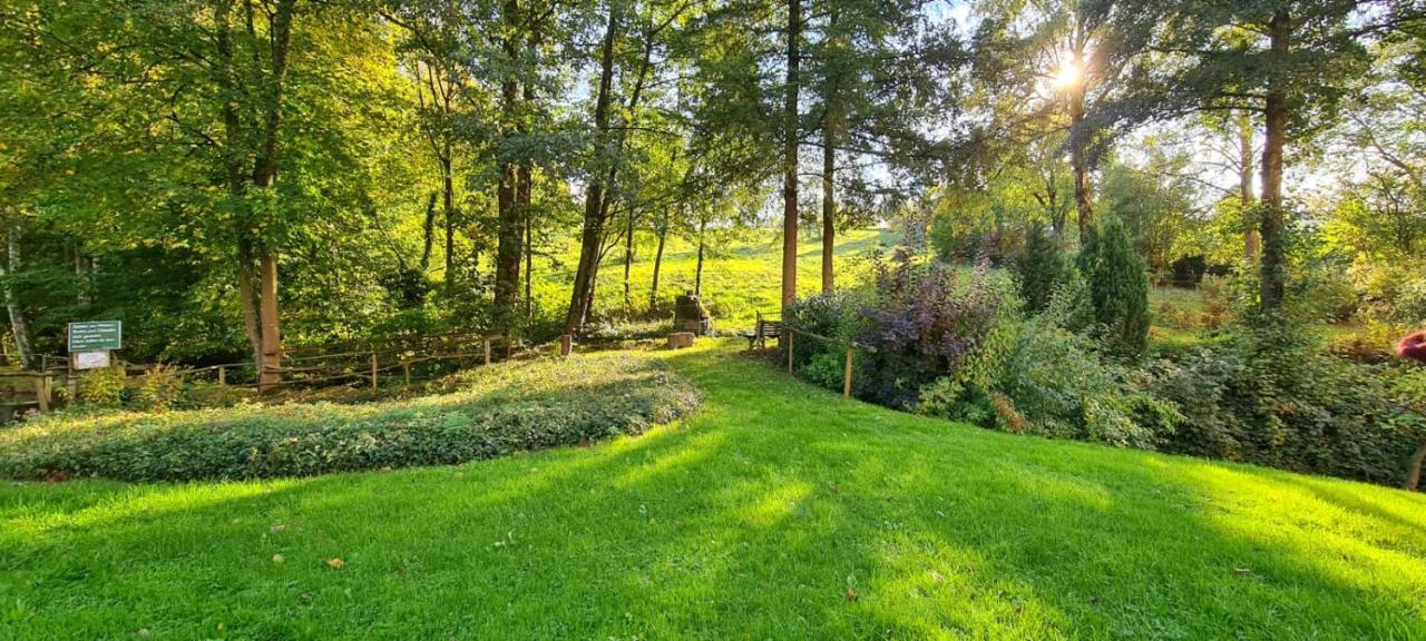 Ferienwohnung Am Waldsee Mit Schwimmbad Gernsbach Zewnętrze zdjęcie